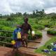 Kawangware Street Children and Youth Project (KSCYP)